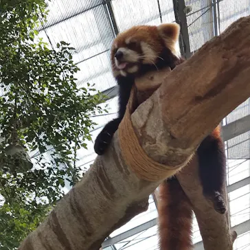 神戸どうぶつ王国に投稿された画像（2021/10/16）