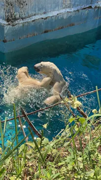 天王寺動物園に投稿された画像（2021/10/16）