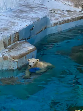 天王寺動物園に投稿された画像（2021/10/16）