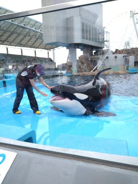 名古屋港水族館に投稿された画像（2021/10/16）