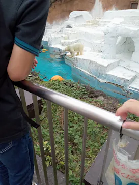 天王寺動物園に投稿された画像（2021/10/16）