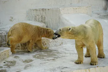 天王寺動物園に投稿された画像（2021/10/16）