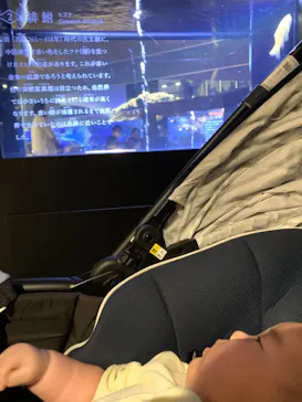 すみだ水族館に投稿された画像（2021/10/16）