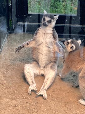 旭川市旭山動物園に投稿された画像（2021/10/16）