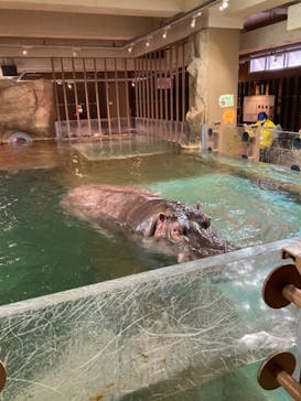 旭川市旭山動物園に投稿された画像（2021/10/16）
