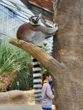 神戸どうぶつ王国に投稿された画像（2021/10/16）