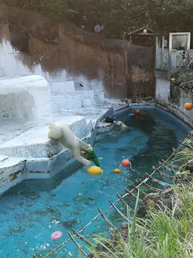天王寺動物園に投稿された画像（2021/10/16）