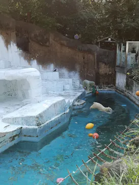 天王寺動物園に投稿された画像（2021/10/16）