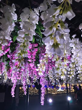 東京メガイルミに投稿された画像（2021/10/16）