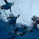 サンシャイン水族館に投稿された画像（2021/10/16）