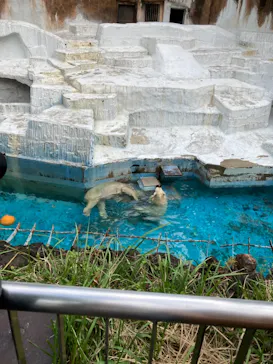 天王寺動物園に投稿された画像（2021/10/16）