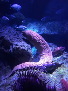 すみだ水族館に投稿された画像（2021/10/16）