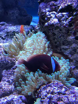 すみだ水族館に投稿された画像（2021/10/16）