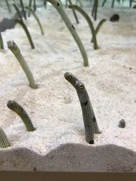 すみだ水族館に投稿された画像（2021/10/16）