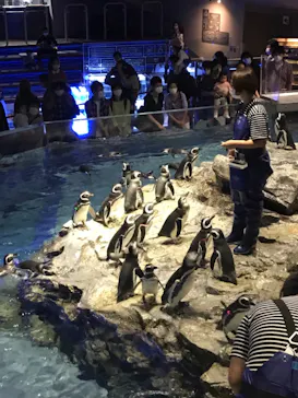 すみだ水族館に投稿された画像（2021/10/16）