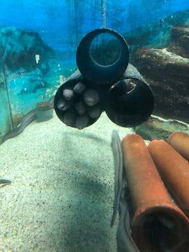 株式会社Gに投稿された画像（2021/10/16）