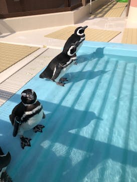 株式会社Gに投稿された画像（2021/10/16）