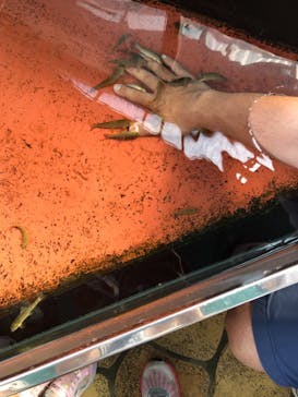 株式会社Gに投稿された画像（2021/10/16）