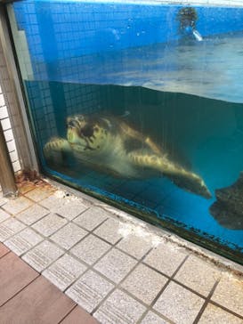 株式会社Gに投稿された画像（2021/10/16）