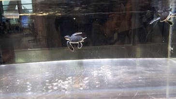 名古屋港水族館に投稿された画像（2021/10/16）