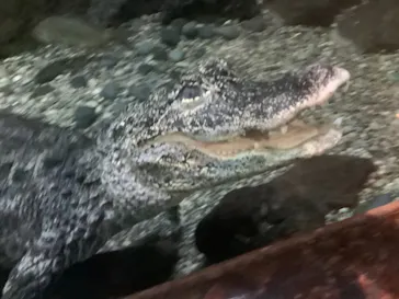 天王寺動物園に投稿された画像（2021/10/16）