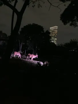 天王寺動物園に投稿された画像（2021/10/16）