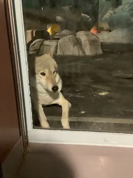 天王寺動物園に投稿された画像（2021/10/16）