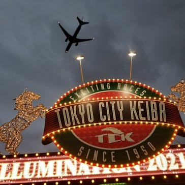 東京メガイルミに投稿された画像（2021/10/16）