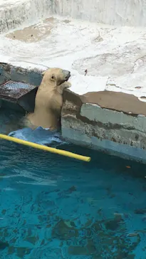 天王寺動物園に投稿された画像（2021/10/16）