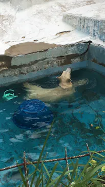 天王寺動物園に投稿された画像（2021/10/16）