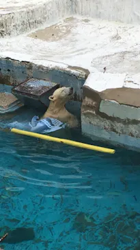 天王寺動物園に投稿された画像（2021/10/16）