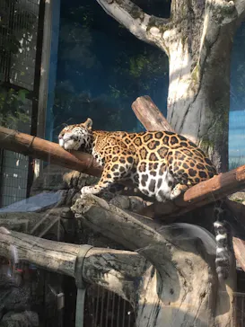 天王寺動物園に投稿された画像（2021/10/16）