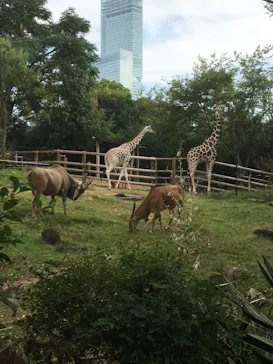 天王寺動物園に投稿された画像（2021/10/16）
