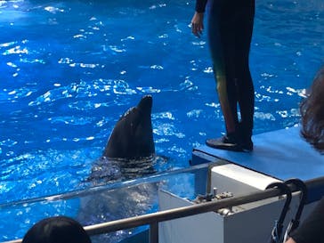 マクセル アクアパーク品川に投稿された画像（2021/10/16）