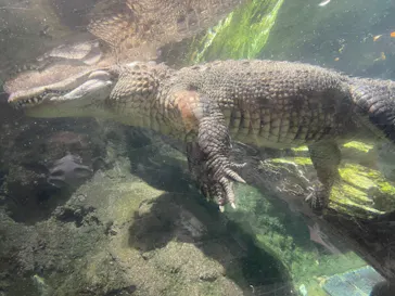 天王寺動物園に投稿された画像（2021/10/16）