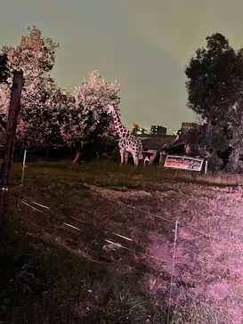 天王寺動物園に投稿された画像（2021/10/16）