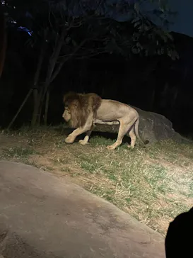 天王寺動物園に投稿された画像（2021/10/16）