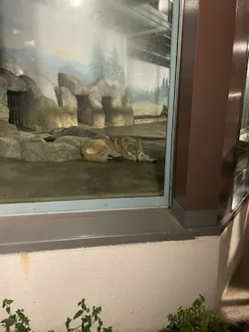 天王寺動物園に投稿された画像（2021/10/16）