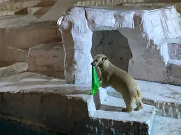 天王寺動物園に投稿された画像（2021/10/16）