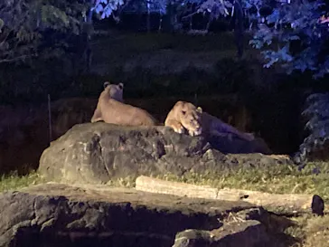 天王寺動物園に投稿された画像（2021/10/16）