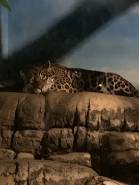 天王寺動物園に投稿された画像（2021/10/16）