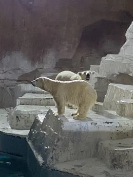 天王寺動物園に投稿された画像（2021/10/16）