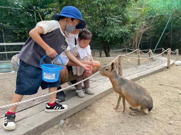 しろとり動物園に投稿された画像（2021/10/16）