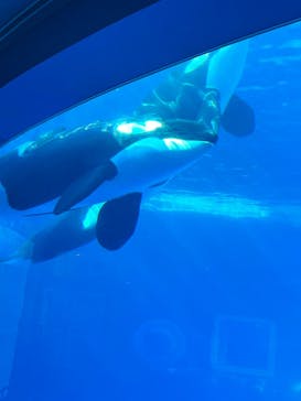 名古屋港水族館に投稿された画像（2021/10/16）