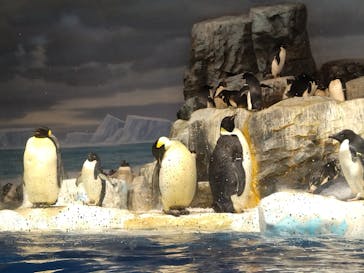 名古屋港水族館に投稿された画像（2021/10/16）