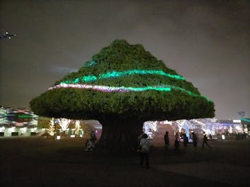 東京メガイルミに投稿された画像（2021/10/16）