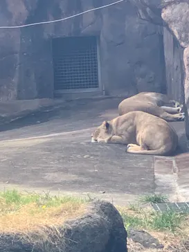 天王寺動物園に投稿された画像（2021/10/16）