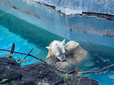 天王寺動物園に投稿された画像（2021/10/16）