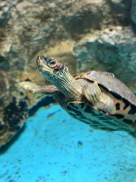 天王寺動物園に投稿された画像（2021/10/16）