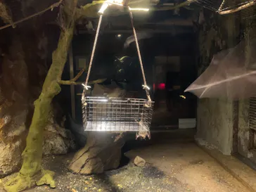 天王寺動物園に投稿された画像（2021/10/16）